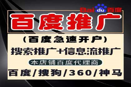 某行业SEM投放效果显著案例分享